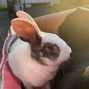 Meet your Posher, Sara